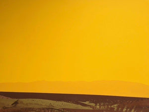 Yellow & Brown Landscape