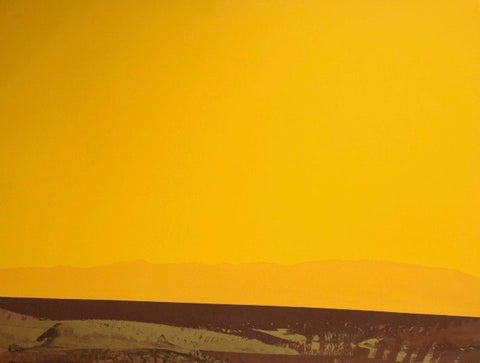 Yellow & Brown Landscape